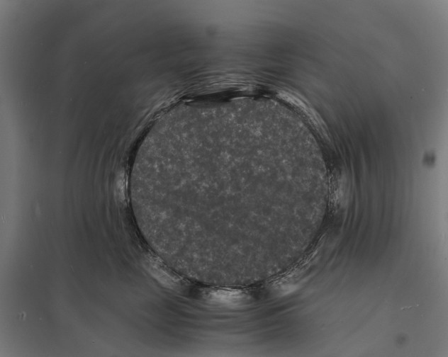 X0000097620669200803281037