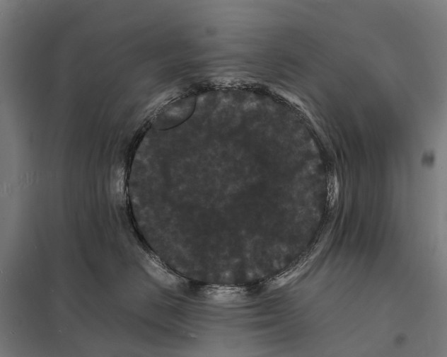 X0000097620670200803281037