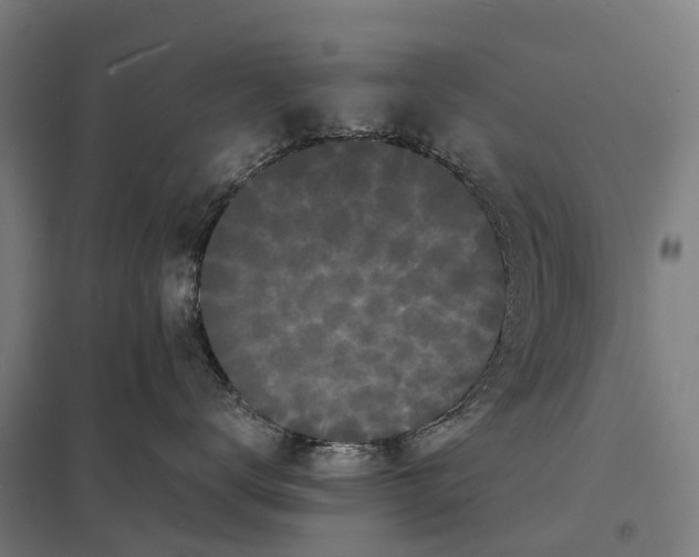 X0000097620672200803281037