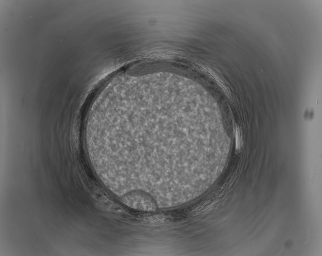 X0000097620675200803281037