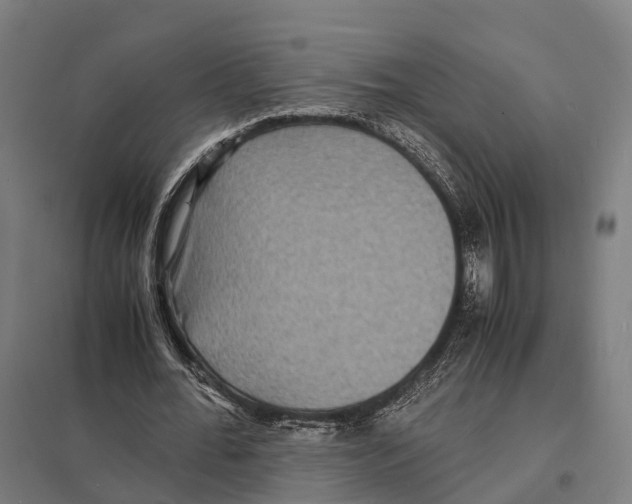 X0000097620676200803281037