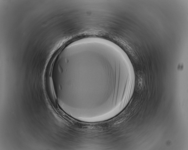 X0000097620678200803281037
