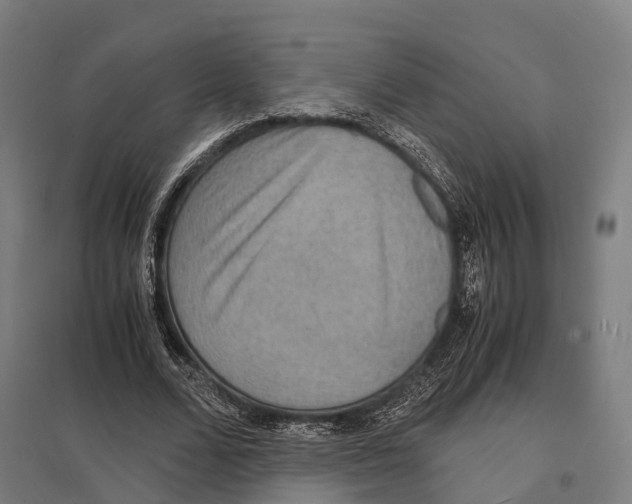 X0000097620680200803281037