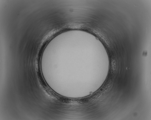 X0000097620682200803281037