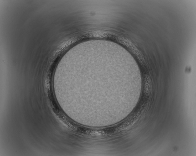 X0000097620683200803281037