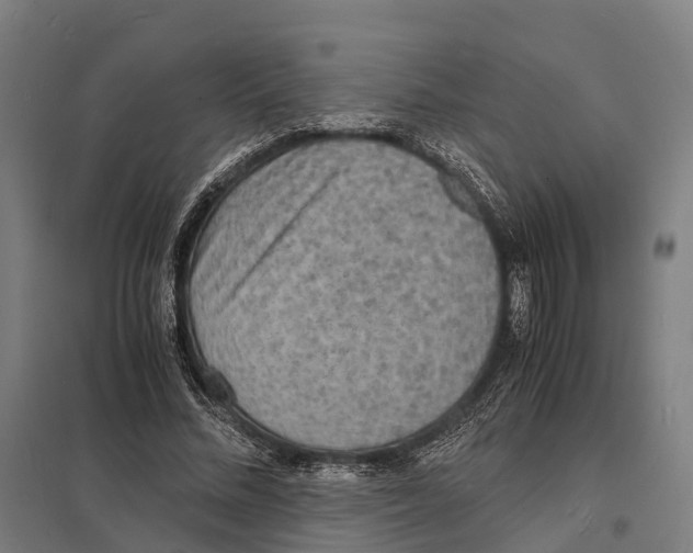 X0000097620684200803281037