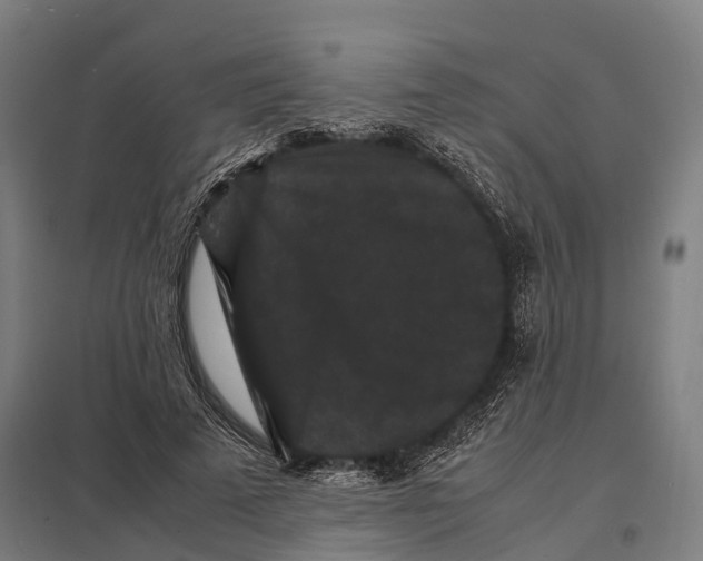 X0000097620689200803281037