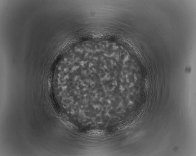 X0000097620691200803281036