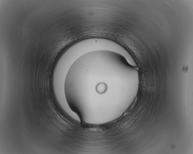 X0000097620692200803281036