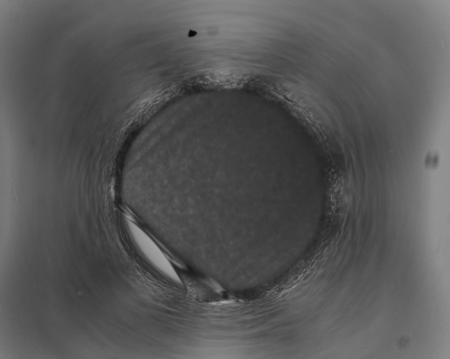 X0000097620693200803281036