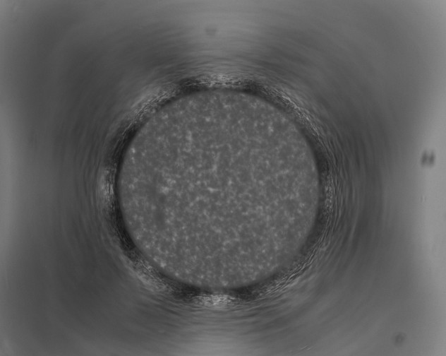 X0000097620695200803281036
