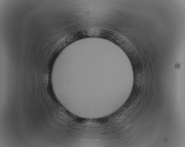 X0000097620697200803281036