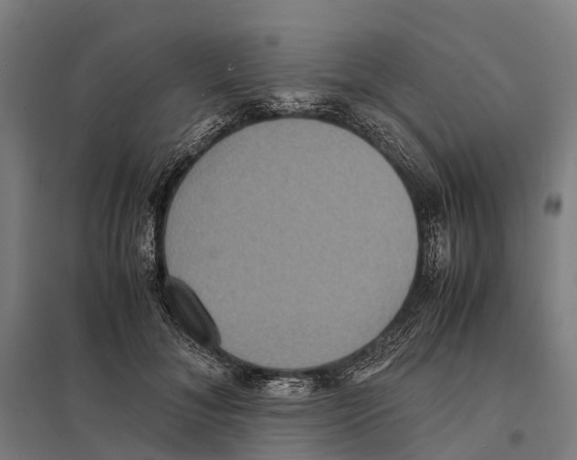 X0000097620700200803281036