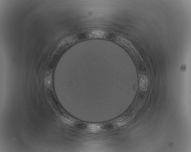 X0000097620701200803281036