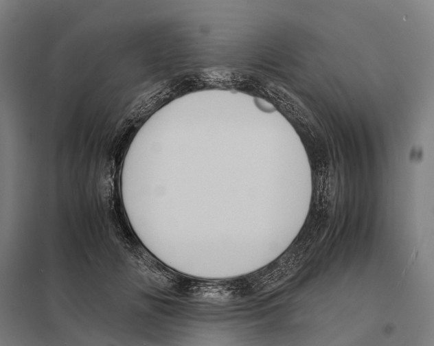 X0000097620702200803281036