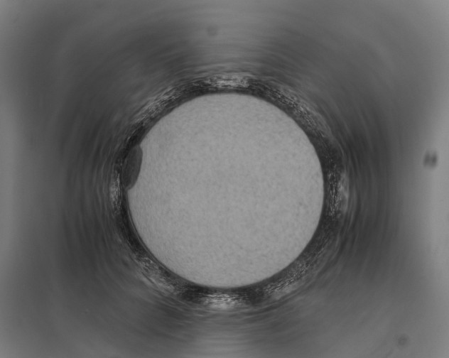 X0000097620704200803281036