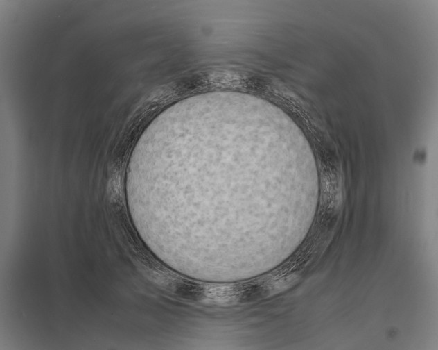 X0000097620705200803281036