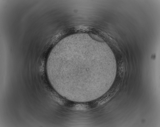 X0000097620708200803281036