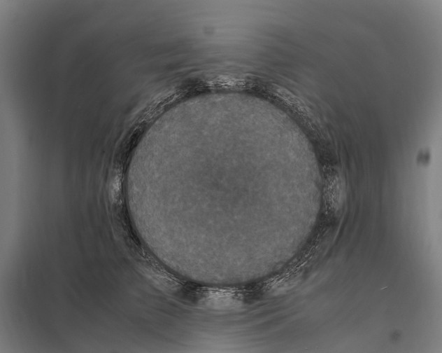 X0000097620709200803281036