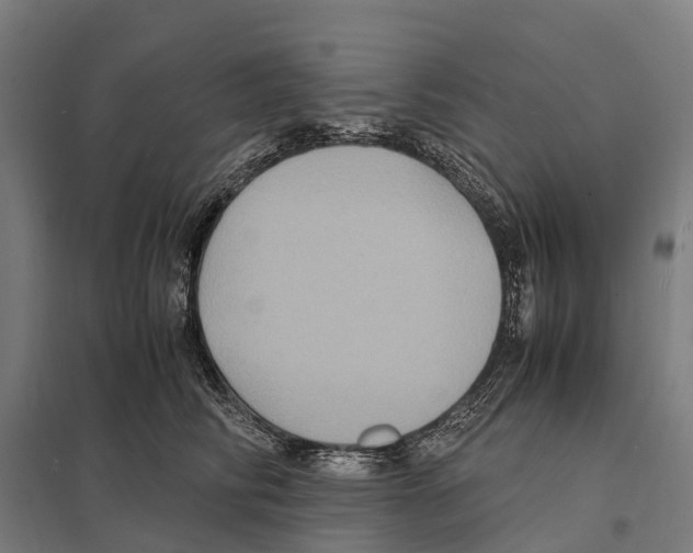 X0000097620710200803281036