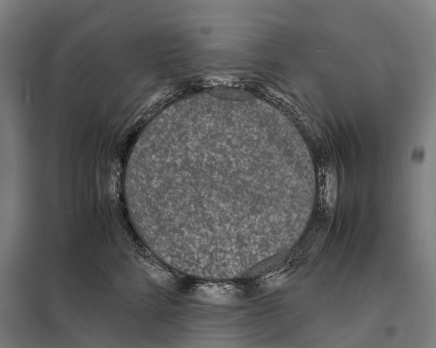 X0000097620712200803281036