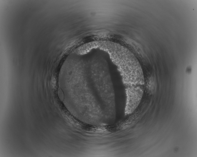 X0000097620715200803281036