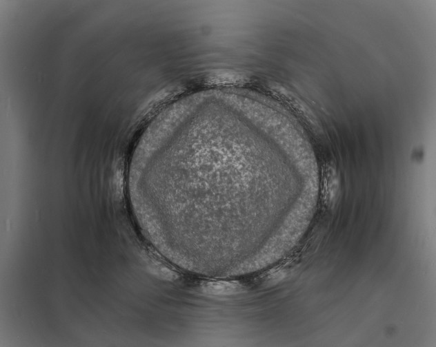 X0000097620716200803281036
