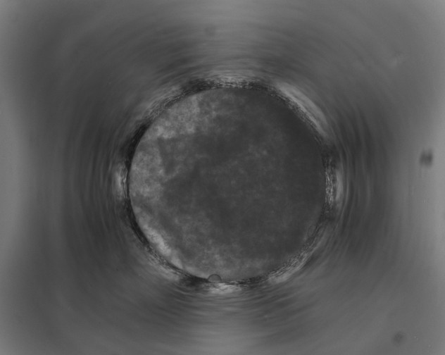 X0000097620718200803281036