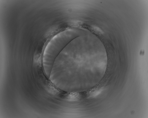 X0000097620720200803281036
