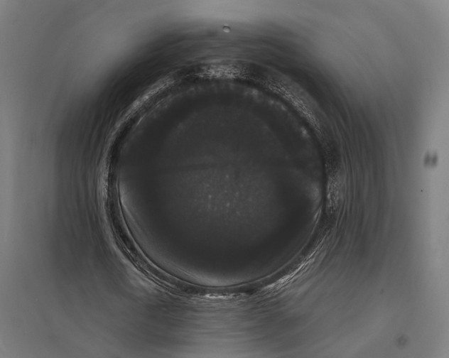 X0000097620722200803281035