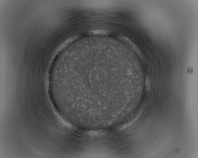 X0000097620725200803281035
