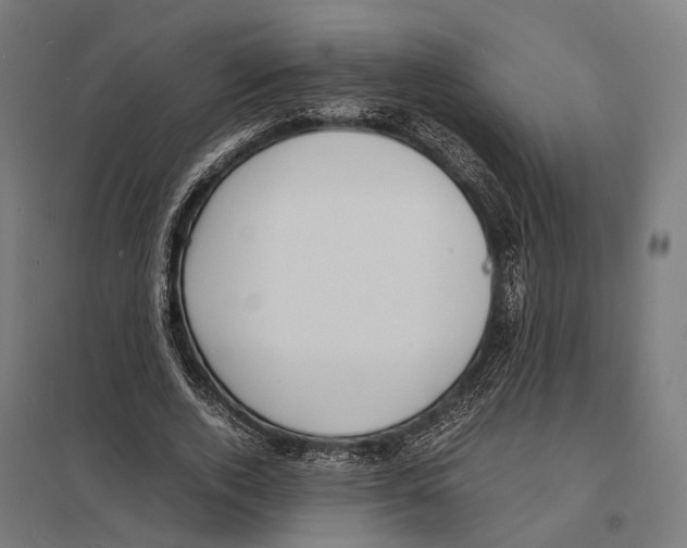 X0000097620728200803281036