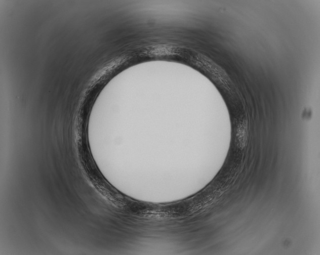 X0000097620732200803281036
