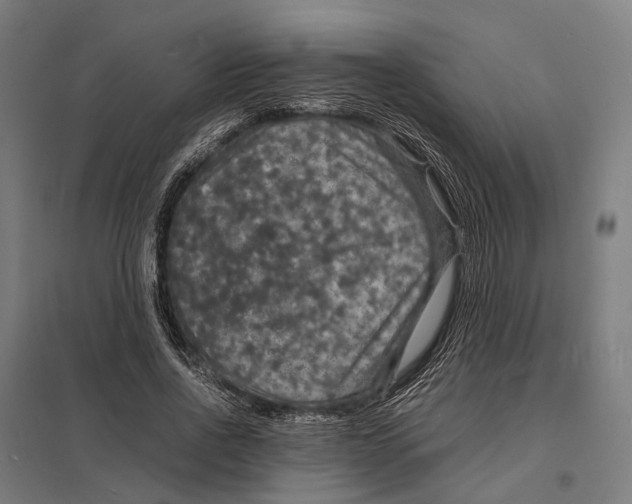 X0000097620734200803281036