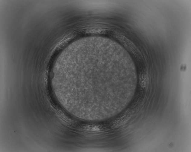 X0000097620735200803281036