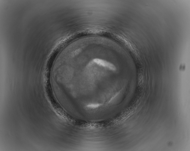 X0000097620736200803281036