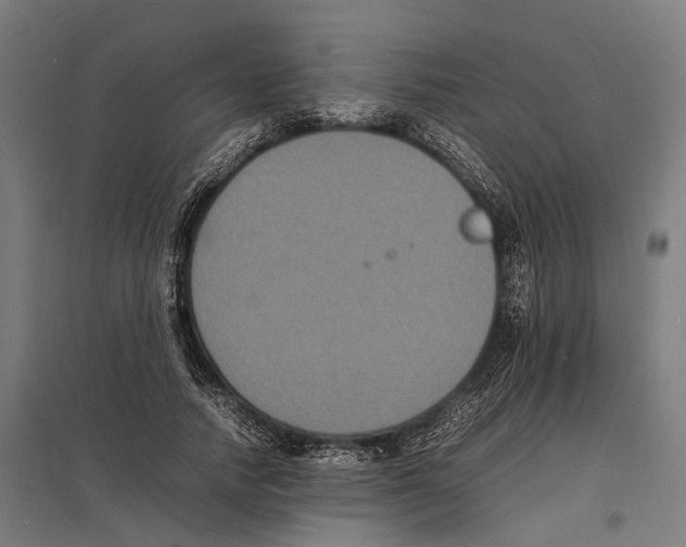 X0000097620738200803281036