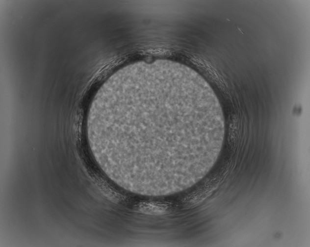 X0000097620739200803281036