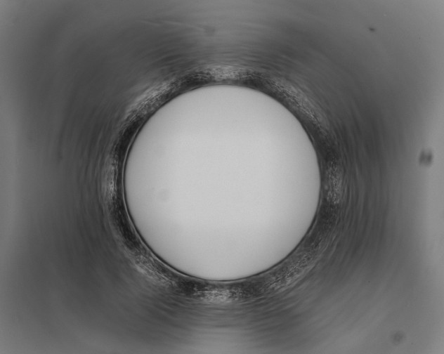 X0000097620740200803281036