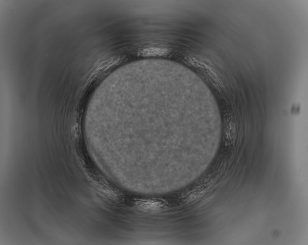 X0000097620743200803281036