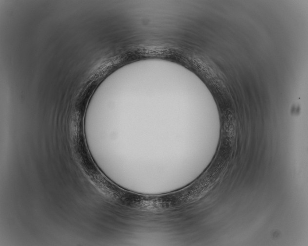 X0000097620744200803281036