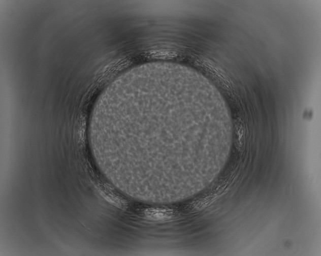 X0000097620745200803281036