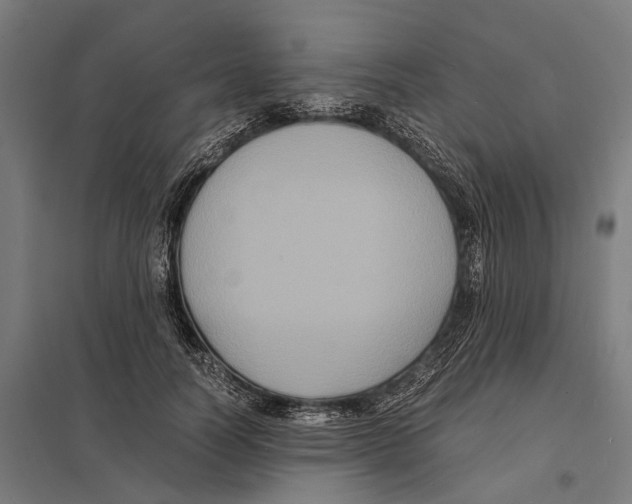 X0000097620746200803281036