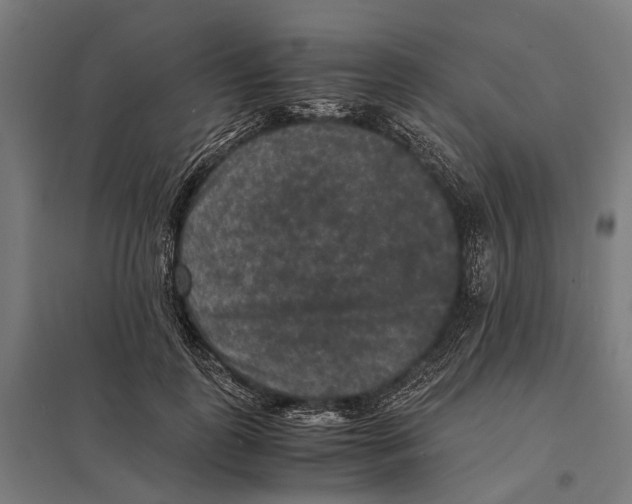 X0000097620747200803281036
