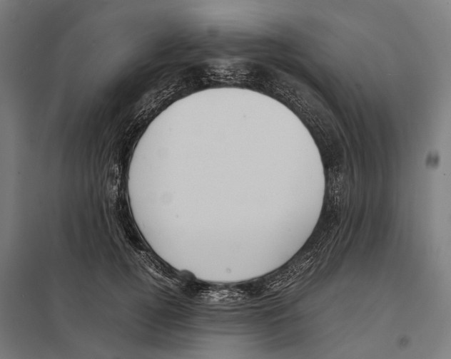 X0000097620752200803281036