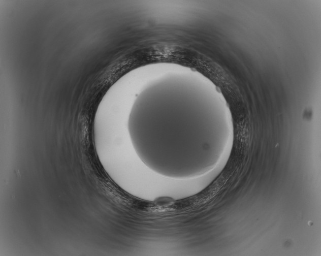 X0000097620754200803281036