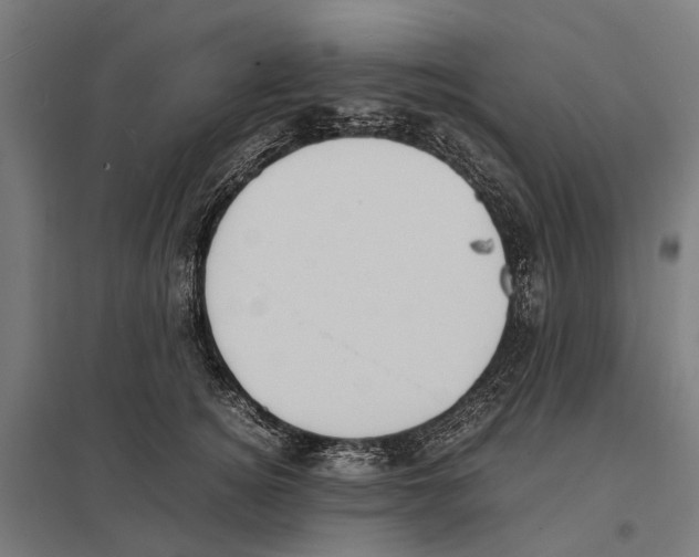 X0000097620756200803281036