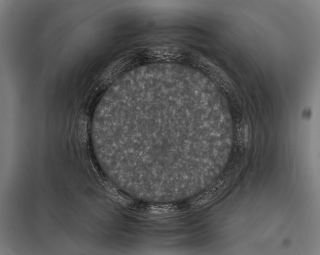 X0000097620757200803281036