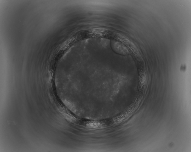 X0000097620759200803281036
