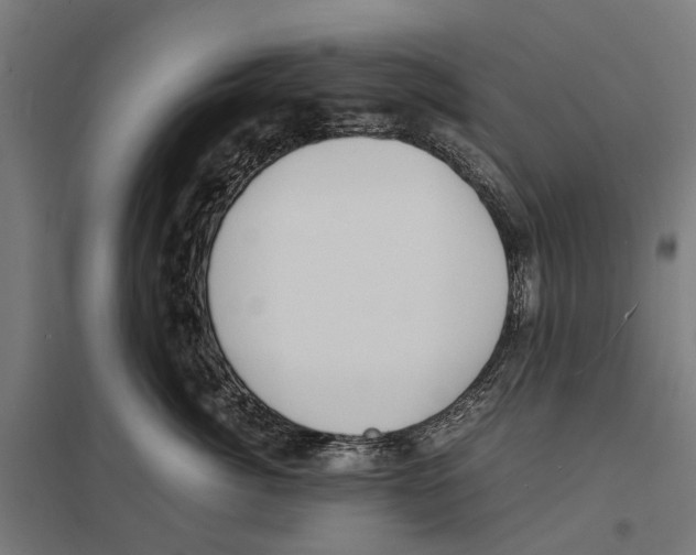 X0000097620764200803281036